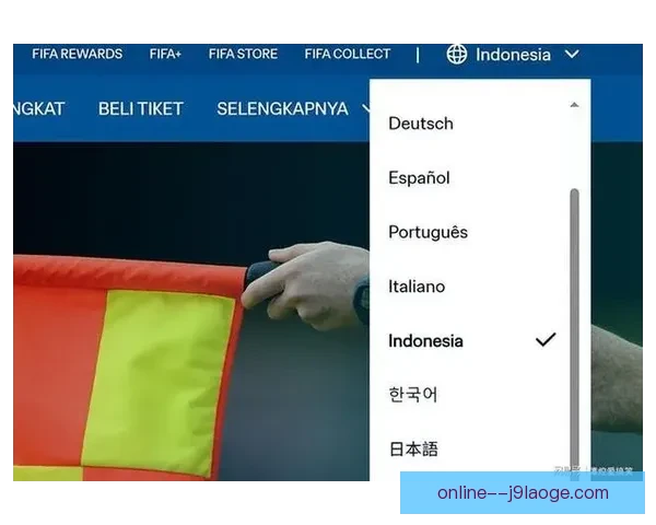 世界杯官网上线志愿者管理系统3.0支持十二种国际语言